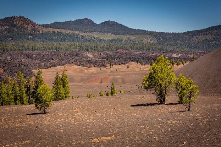 005 Lassen Volcanic SP.jpg